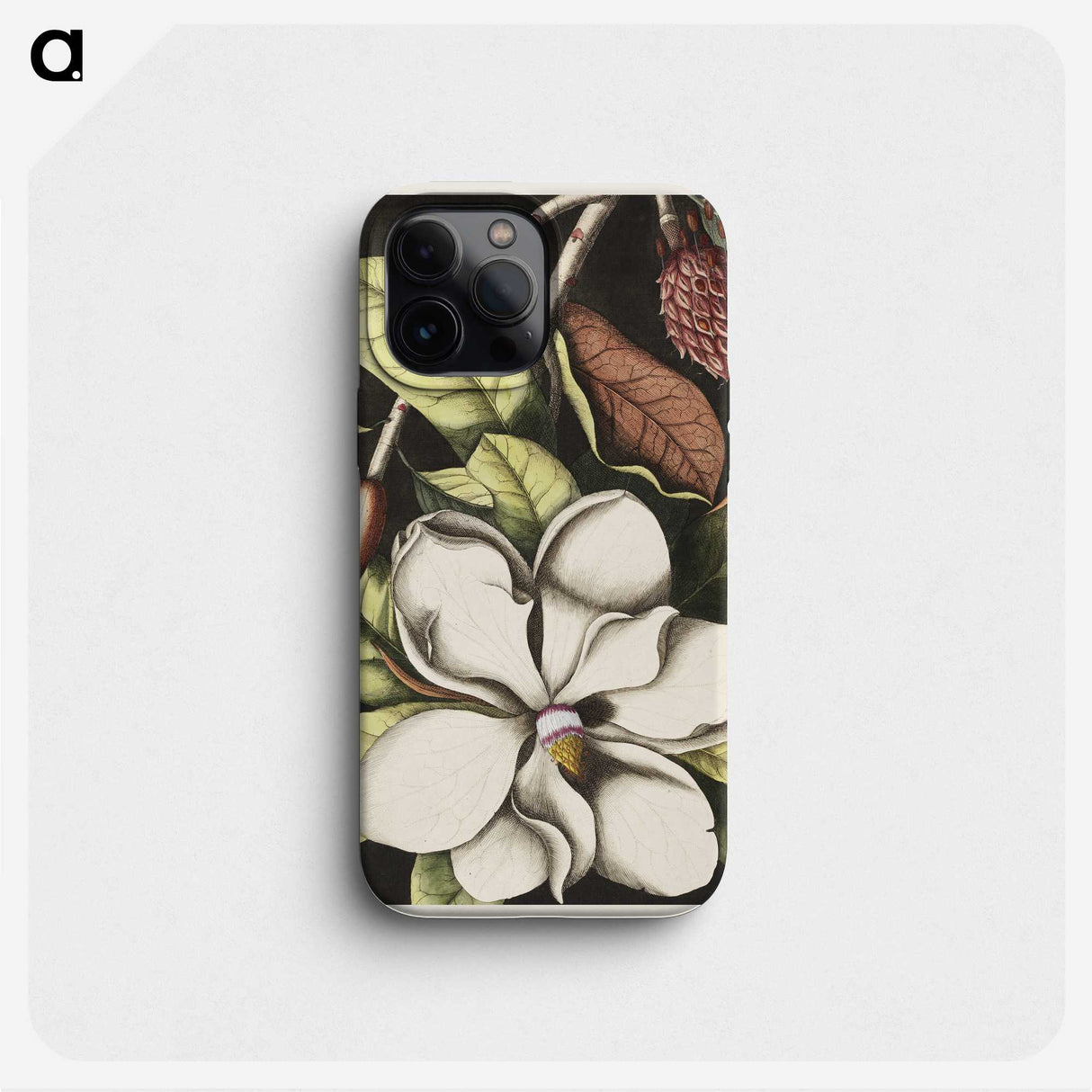 1-7_Mark-Catesby_phone