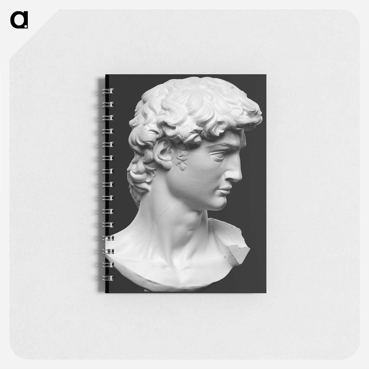 Head from the statue of David by Michelangelo Buonarroti - ミケランジェロ ブオナローティ Memo.