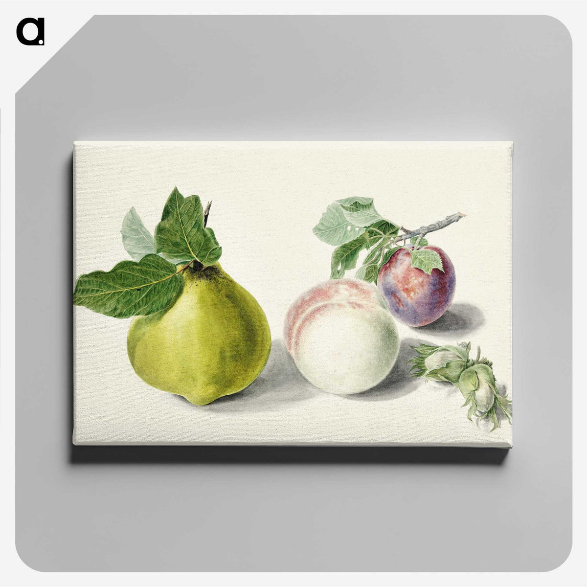 1-7_Michiel-van-Huysum_canvas