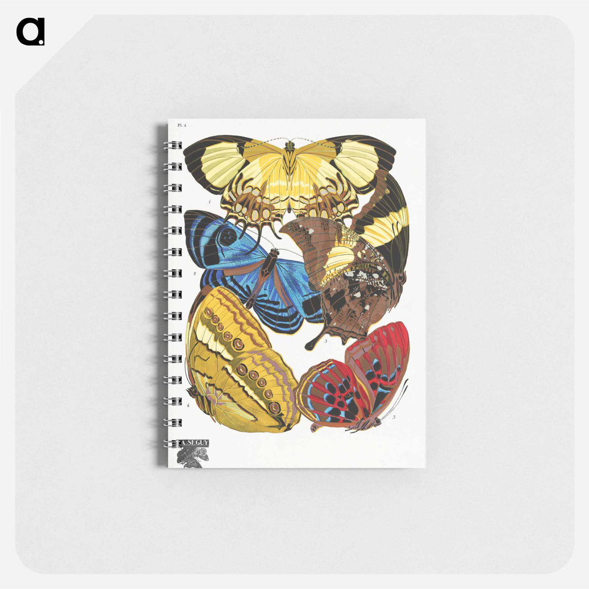 アートメモ帳-Vintage Butterflies
- パピヨン Memo.