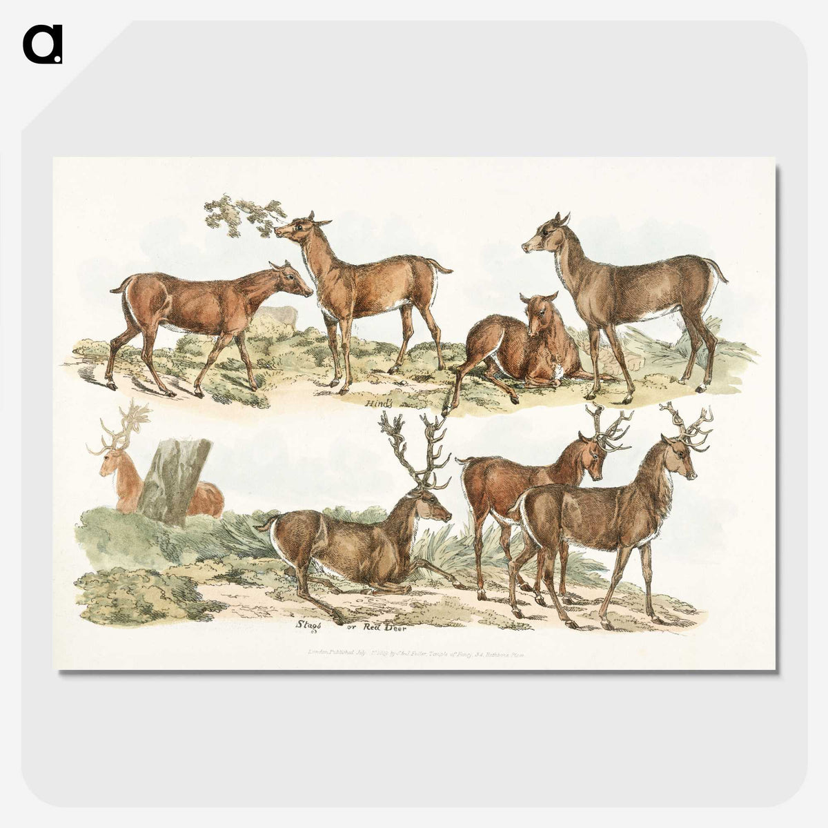 1-7_Sporting-Sketches_picture-crop