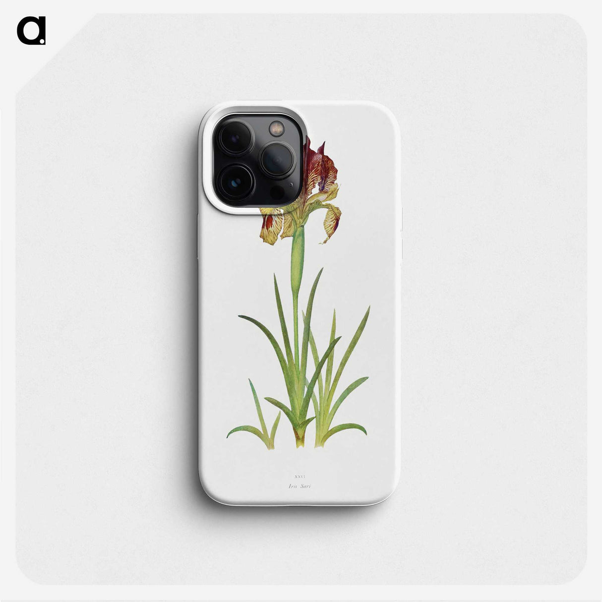 1-7_The-Genus-Iris_phone