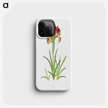 Iris Sari from The genus Iris
 - アヤメ属 Phone Case.