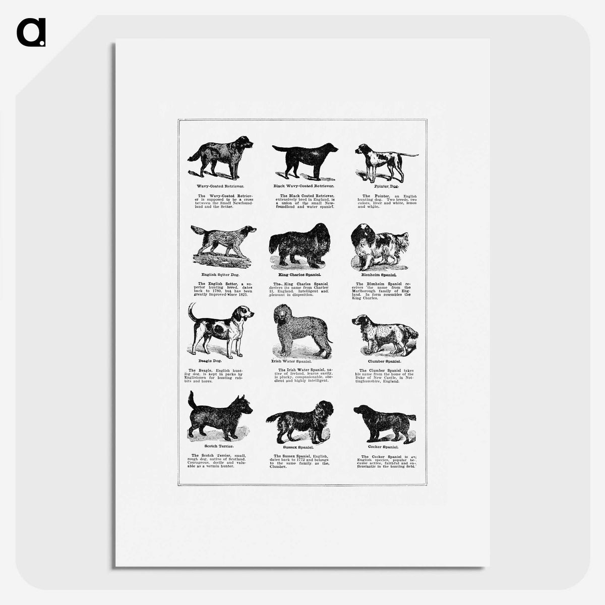 1-7_The-Open-Door-to-Independence_picture