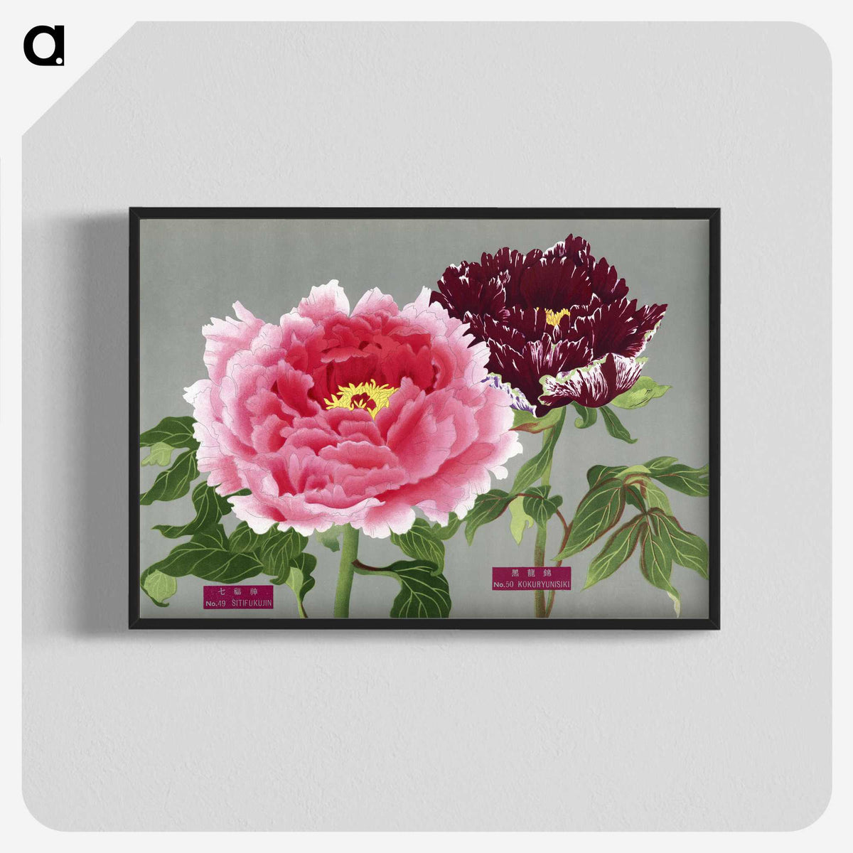 1-7_The-Picture-Book-of-Peonies_blk-crop