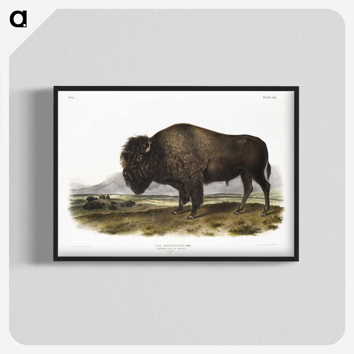 1-7_The-Viviparous-Quadrupeds_blk-crop