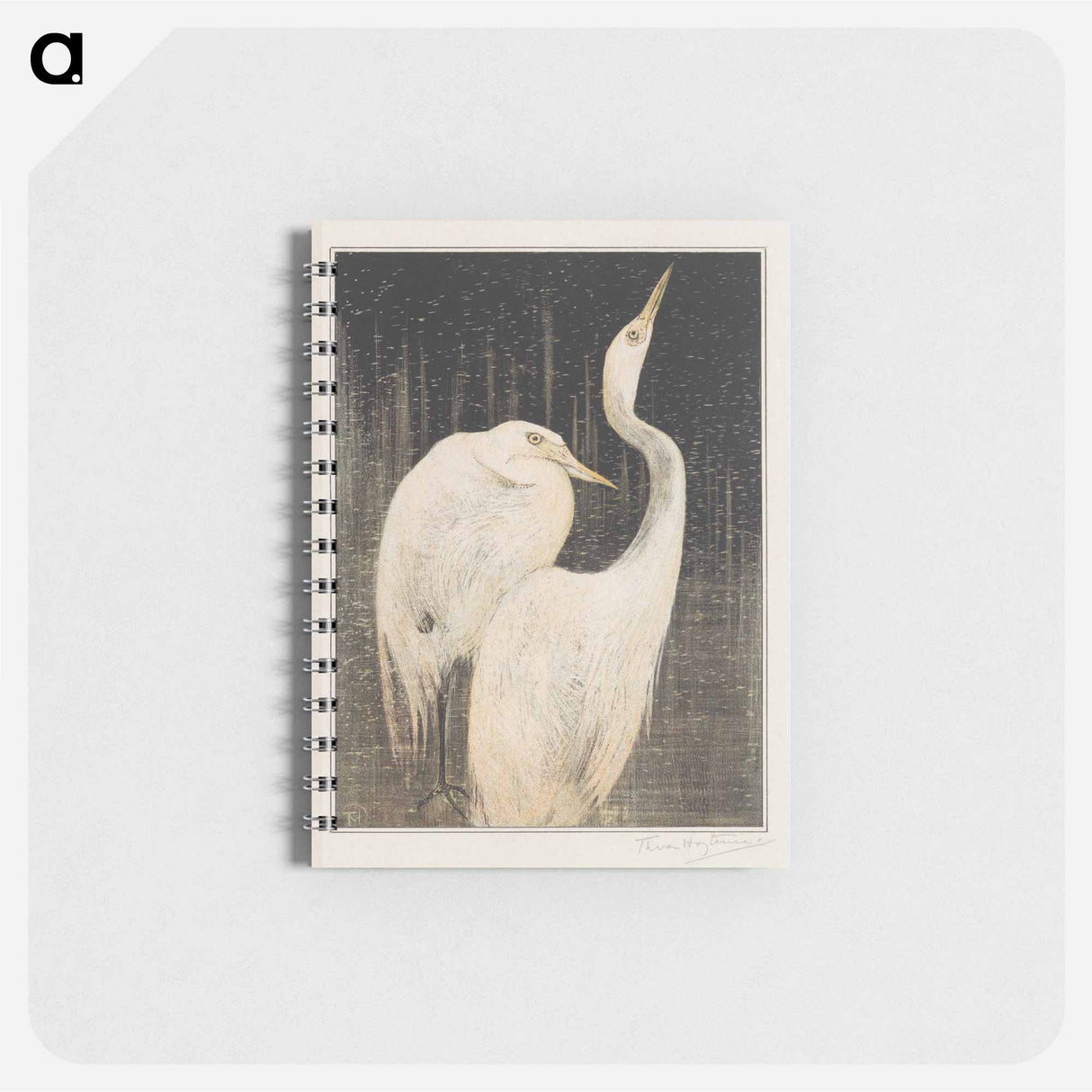 Twee zilverreigers - テオ ヴァン ホイテマ Memo.