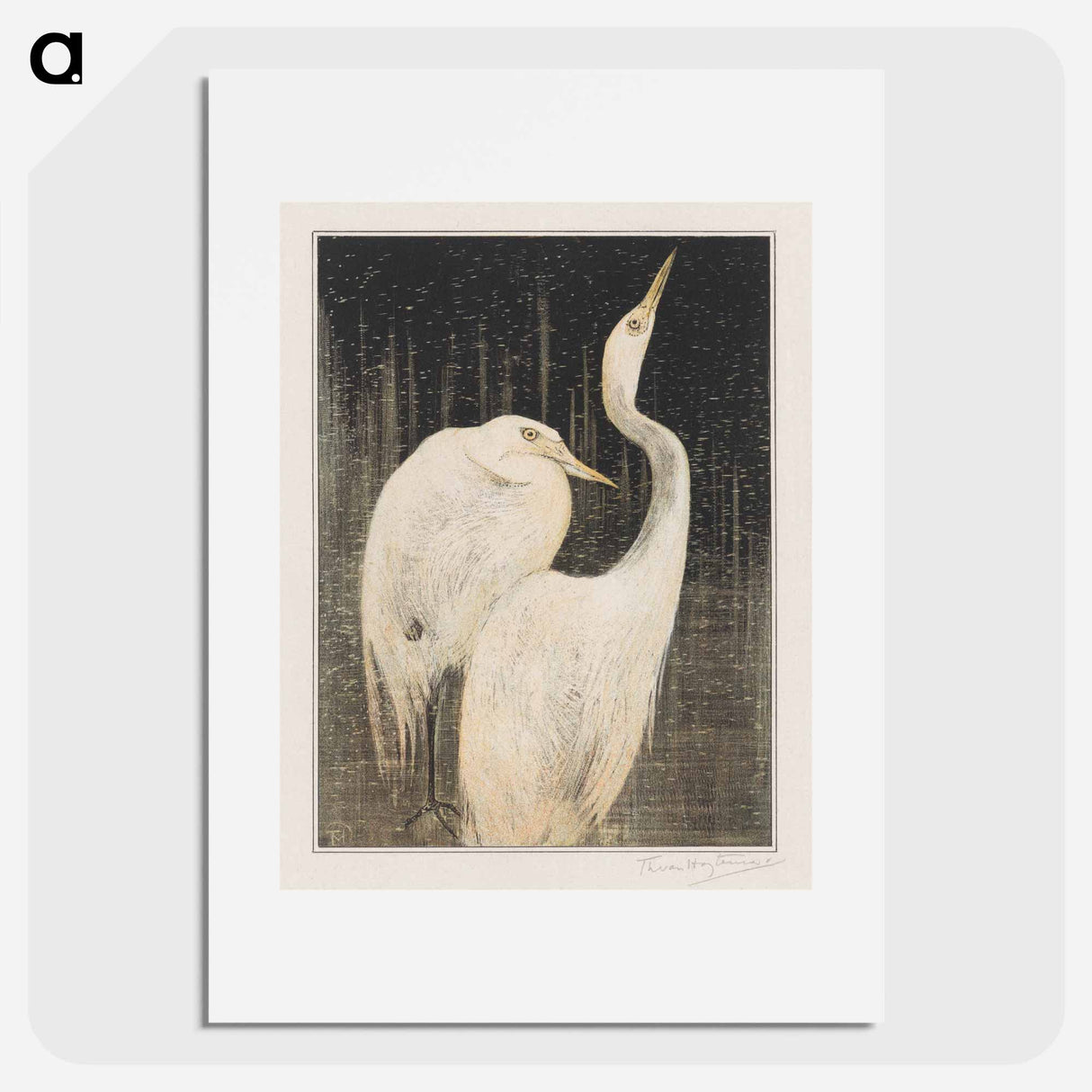 Twee zilverreigers - Theo van Hoytema Poster.