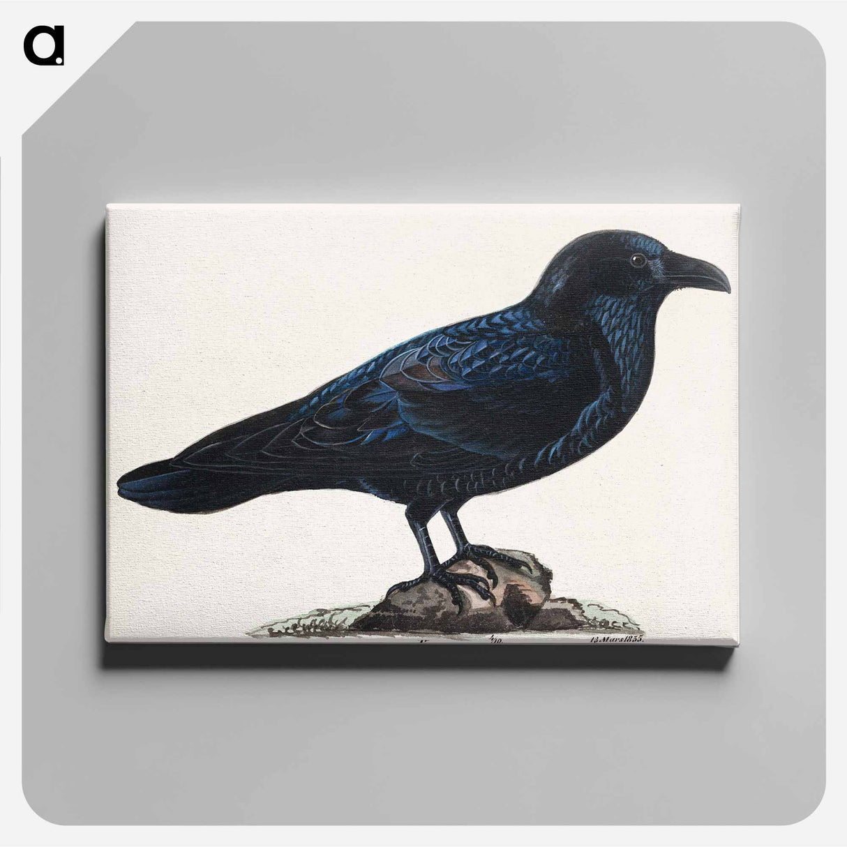 Raven - Wilhelm von Wright Canvas.