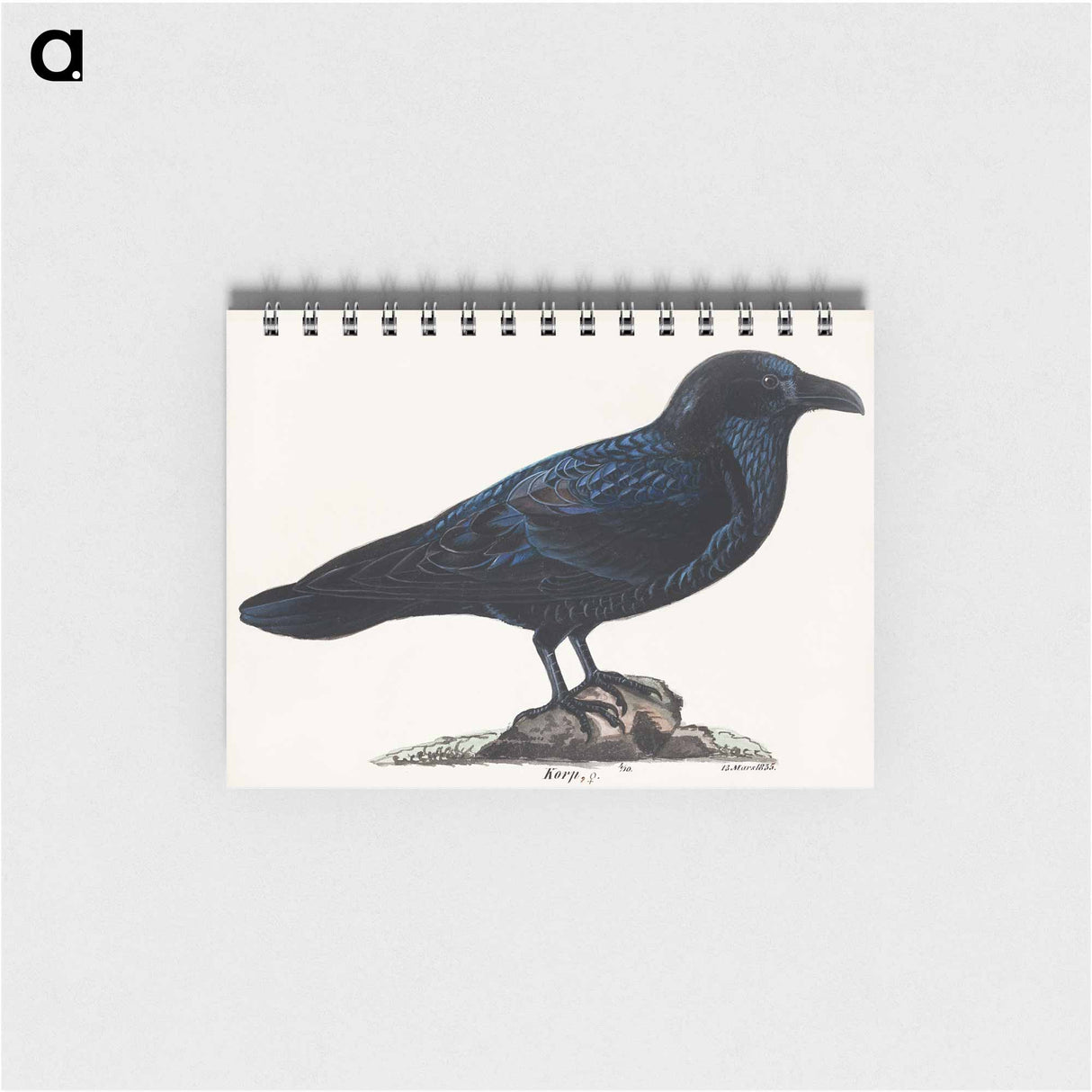 Raven - ヴィルヘルム フォン ライト Memo.