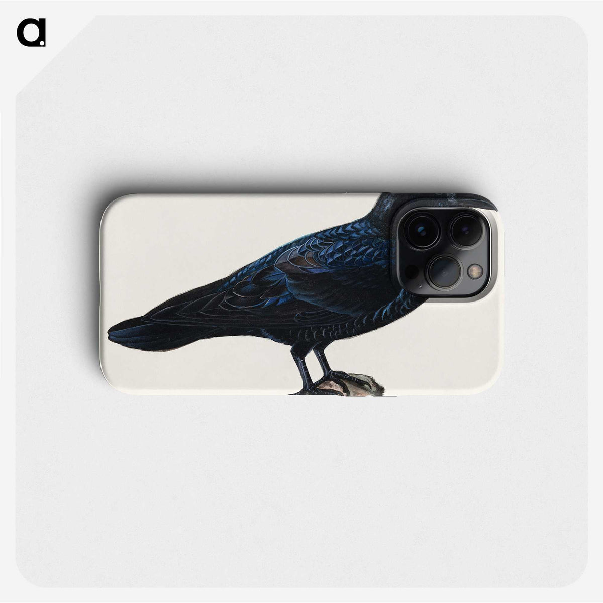 1-7_Wilhelm-von-Wright_phone
