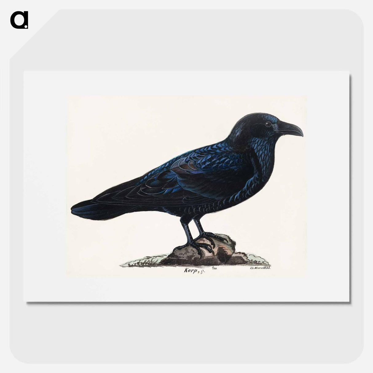 Raven - Wilhelm von Wright Poster.