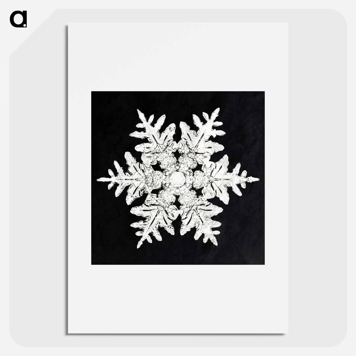 Wilson Bentley's Snowflake 990 - Wilson Bentley Poster.