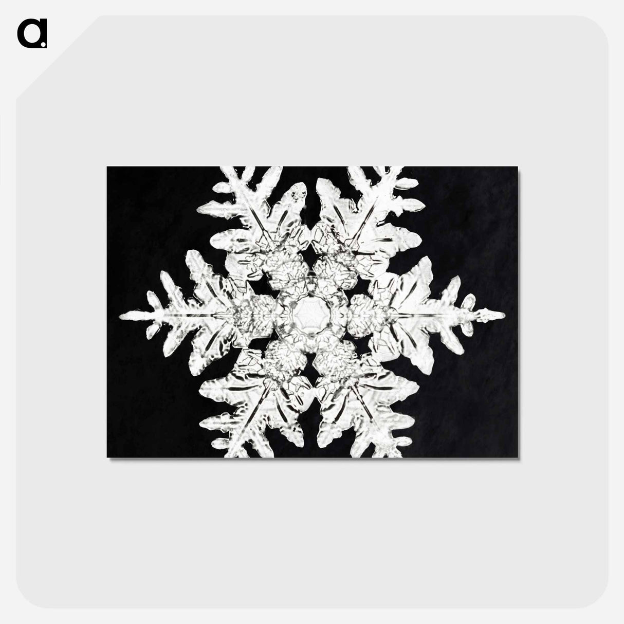 アートポストカード-Wilson Bentley's Snowflake 990 - ウィルソン ベントレー Postcard.