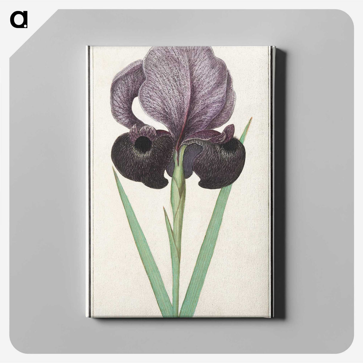 1-80_Anselmus-Boetius-de-Boodt_canvas
