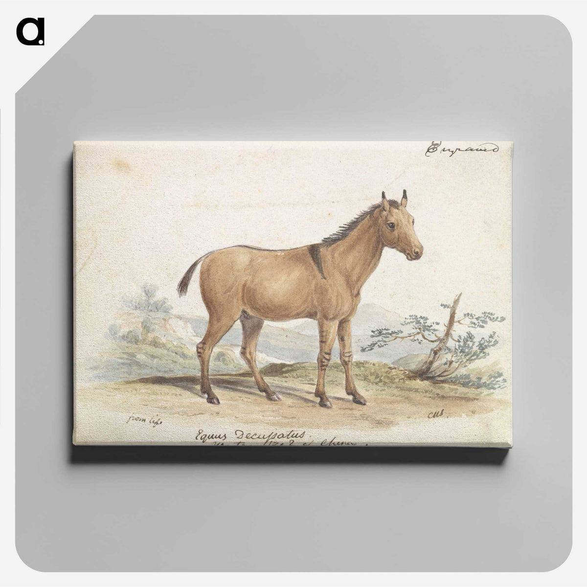 1-80_Charles-Hamilton-Smith_canvas