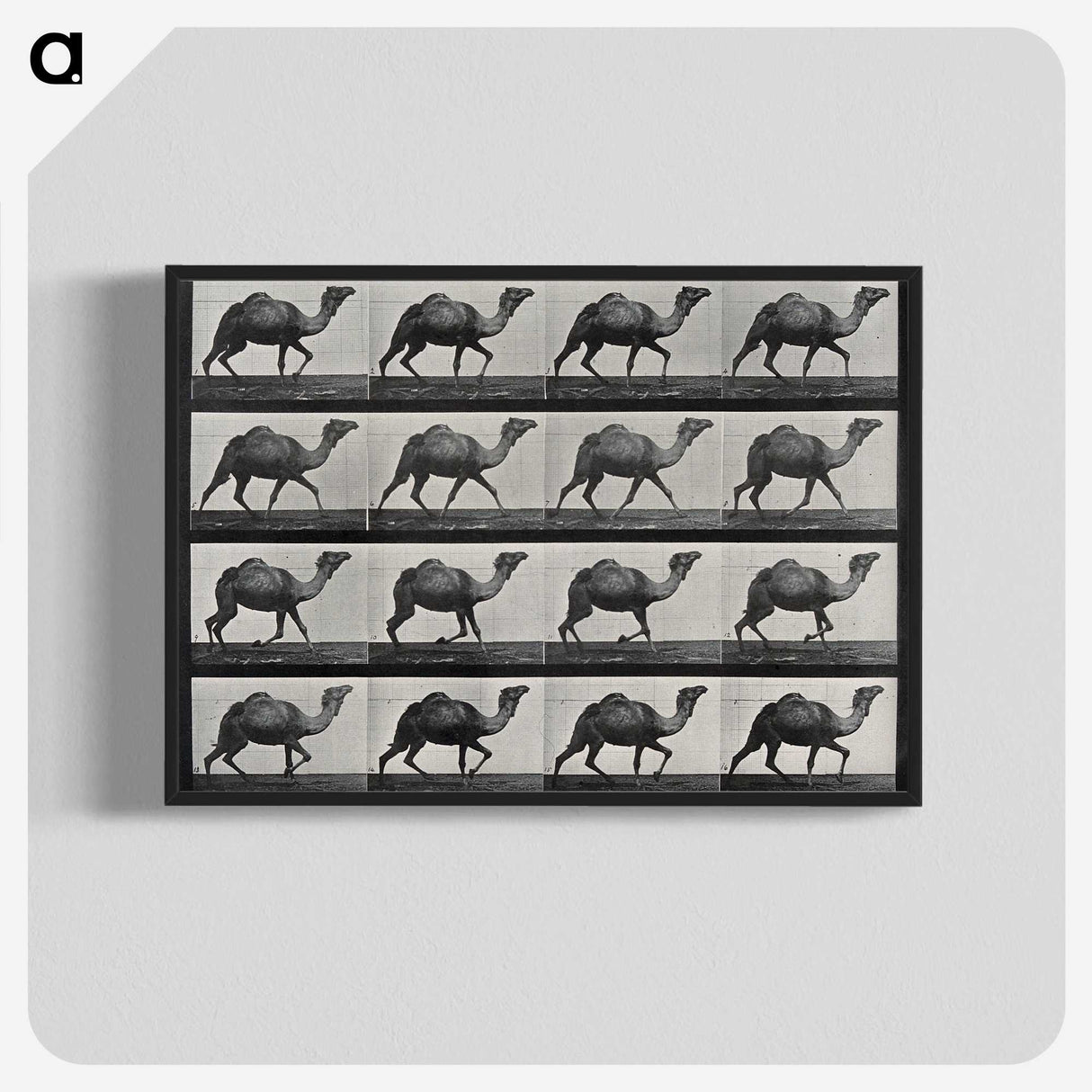1-80_Eadweard-Muybridge_blk-crop
