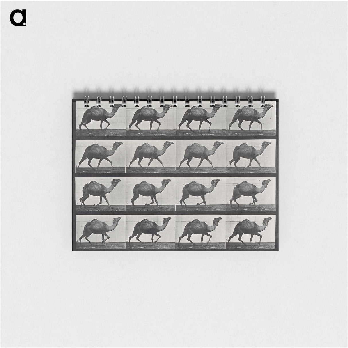 1-80_Eadweard-Muybridge_memo