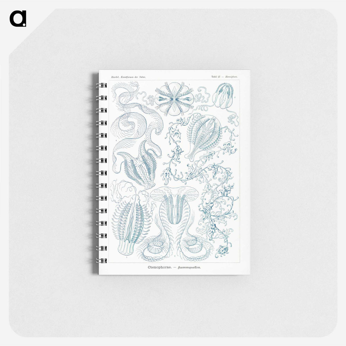 1-80_Ernst-Haeckel_memo