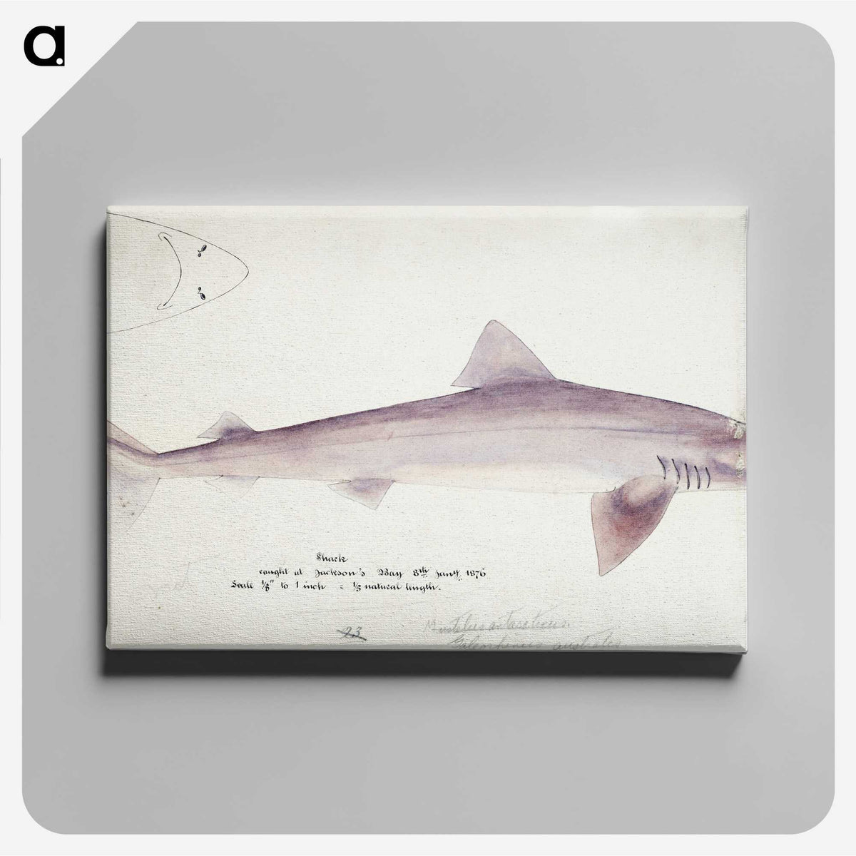 1-80_Frank-Edward-Clarke_canvas