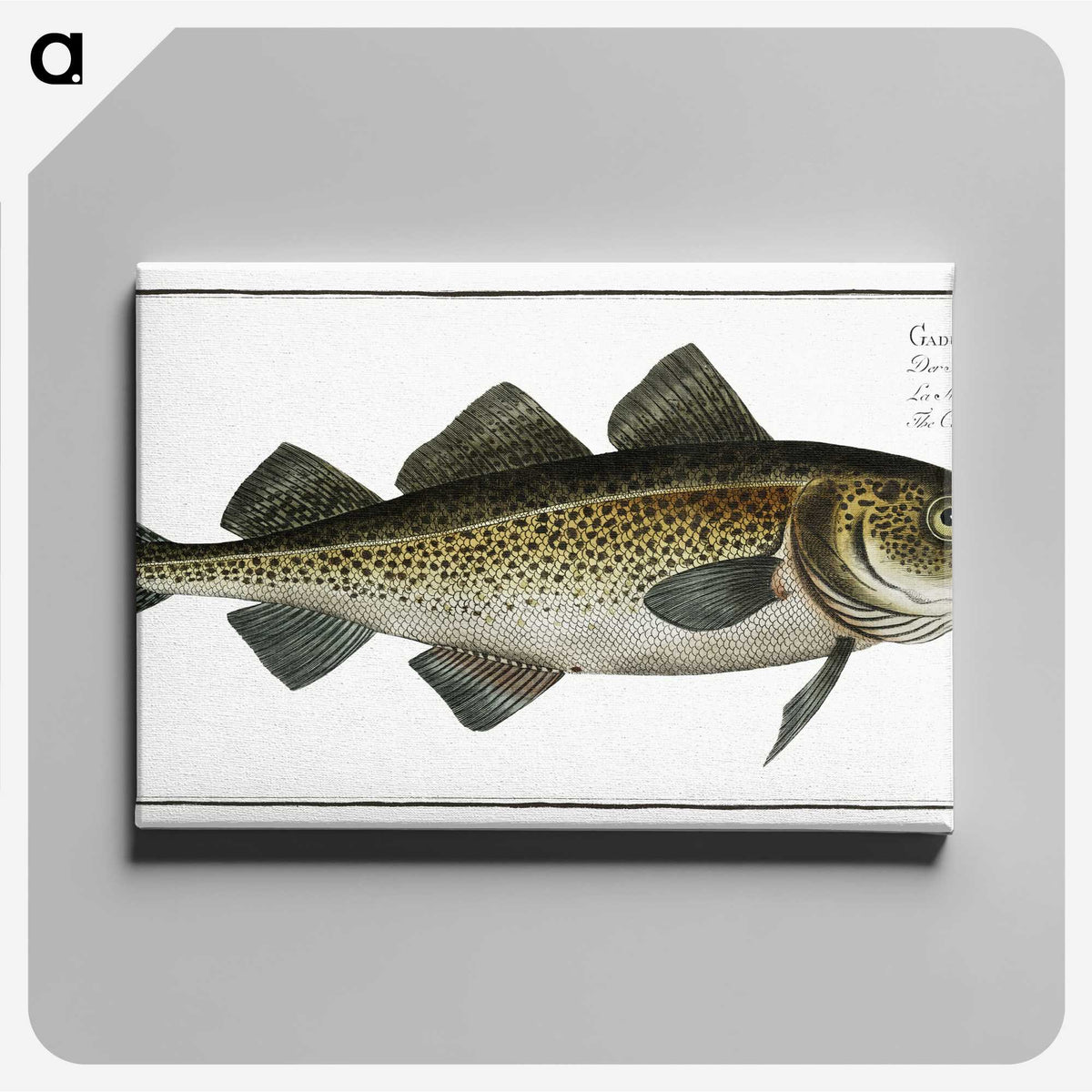 1-80_Ichtyologie-ou-Histoire-naturelle_canvas