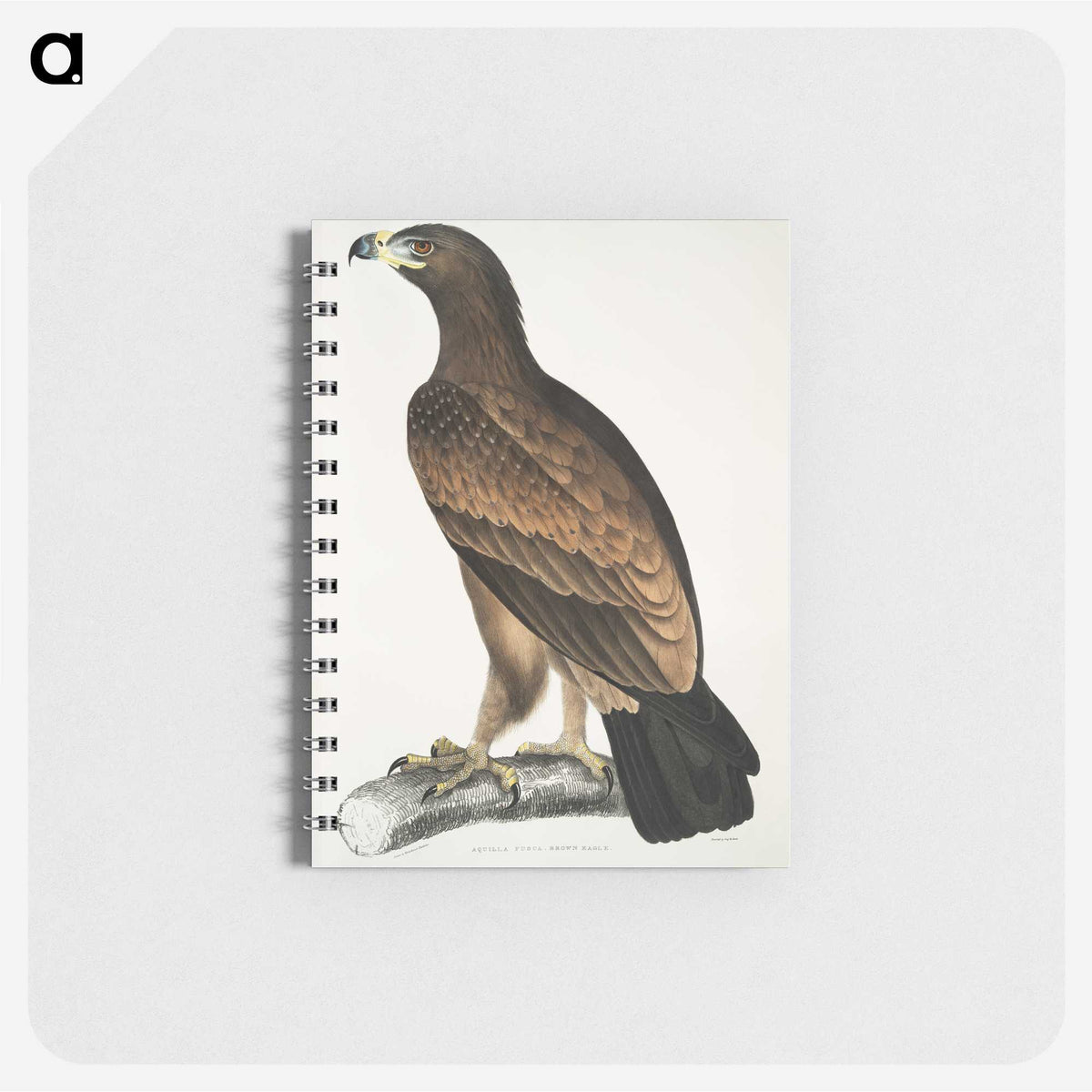 1-80_Indian-Zoology_memo