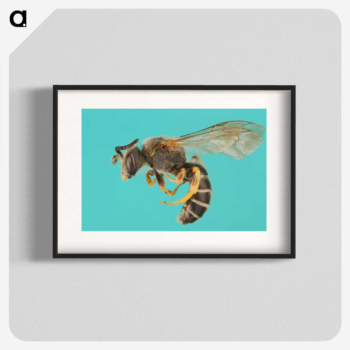 1-80_Insects-Unlocked-Project_blk