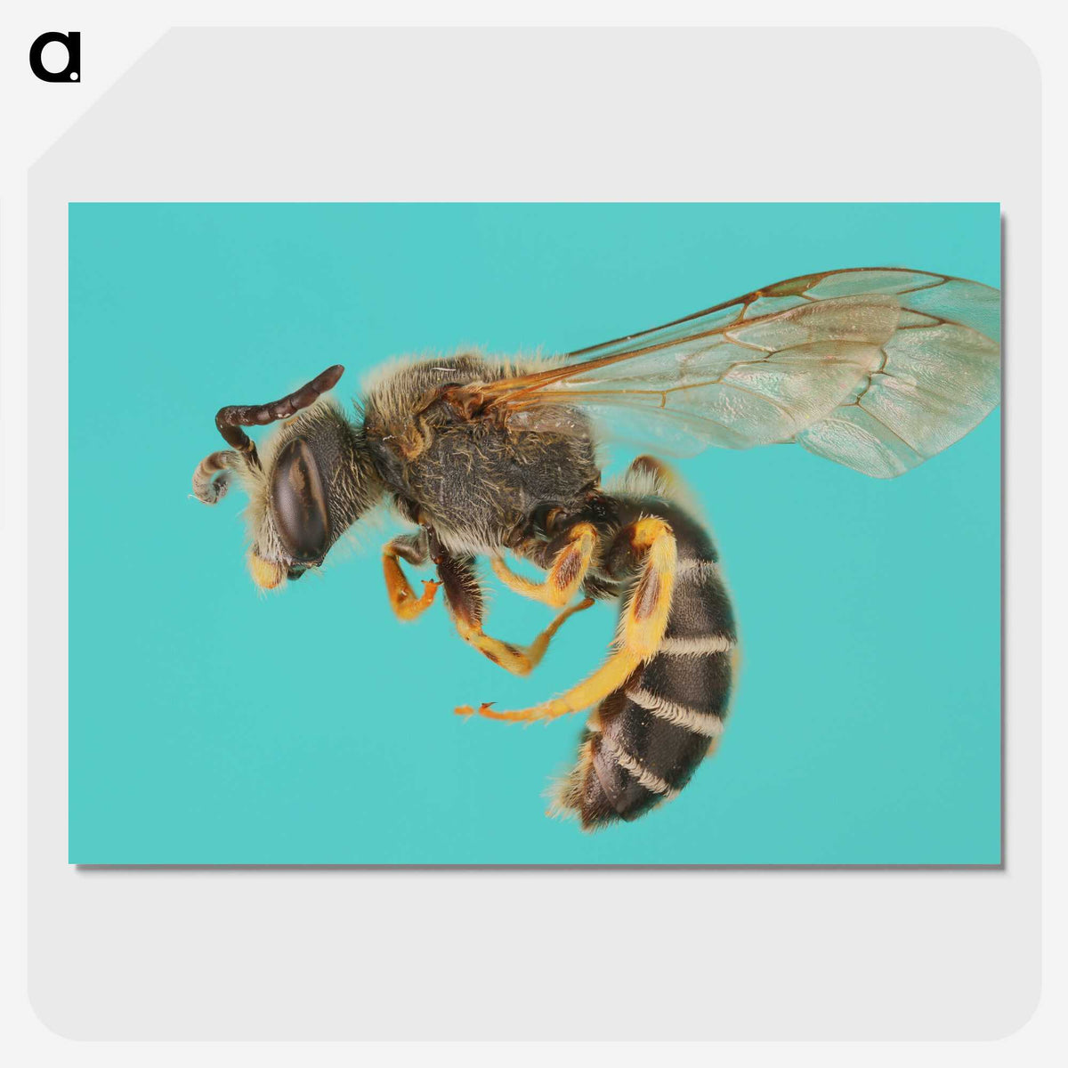 1-80_Insects-Unlocked-Project_picture-crop