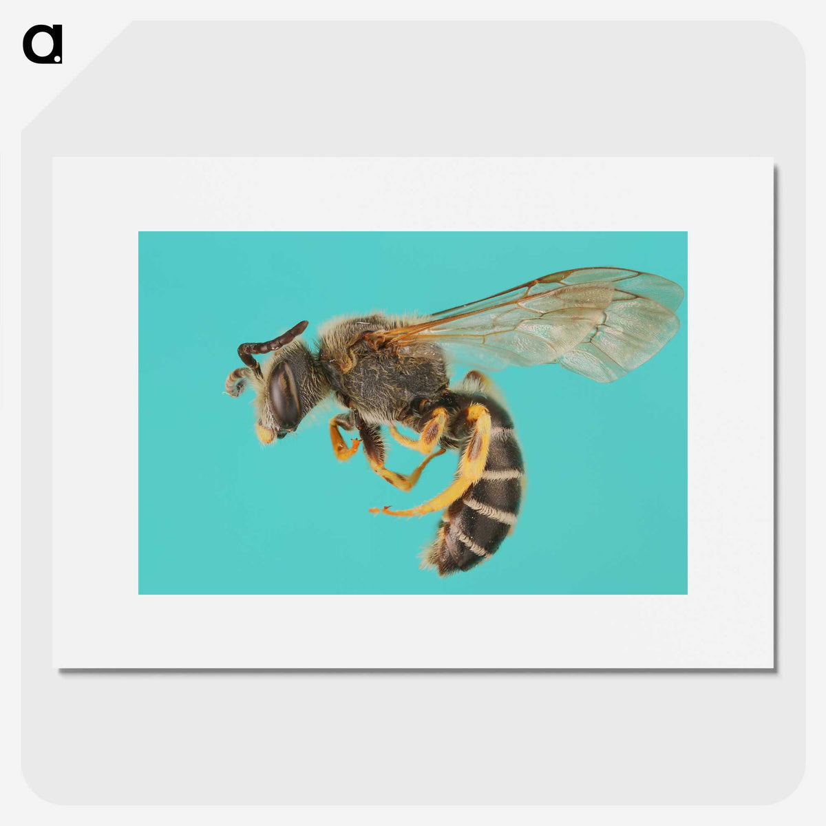 1-80_Insects-Unlocked-Project_picture