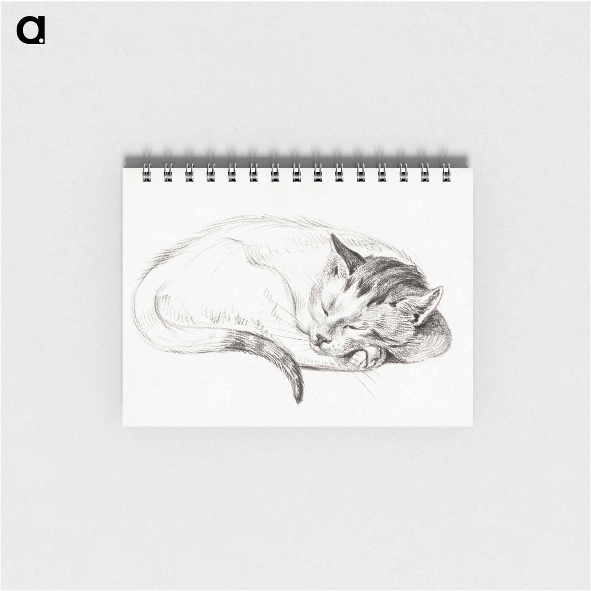 Sketch of a sleeping cat - ジャン ベルナール Memo.