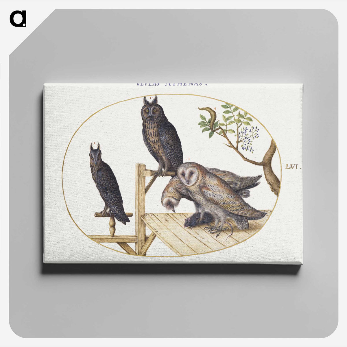1-80_Joris-Hoefnagel_canvas