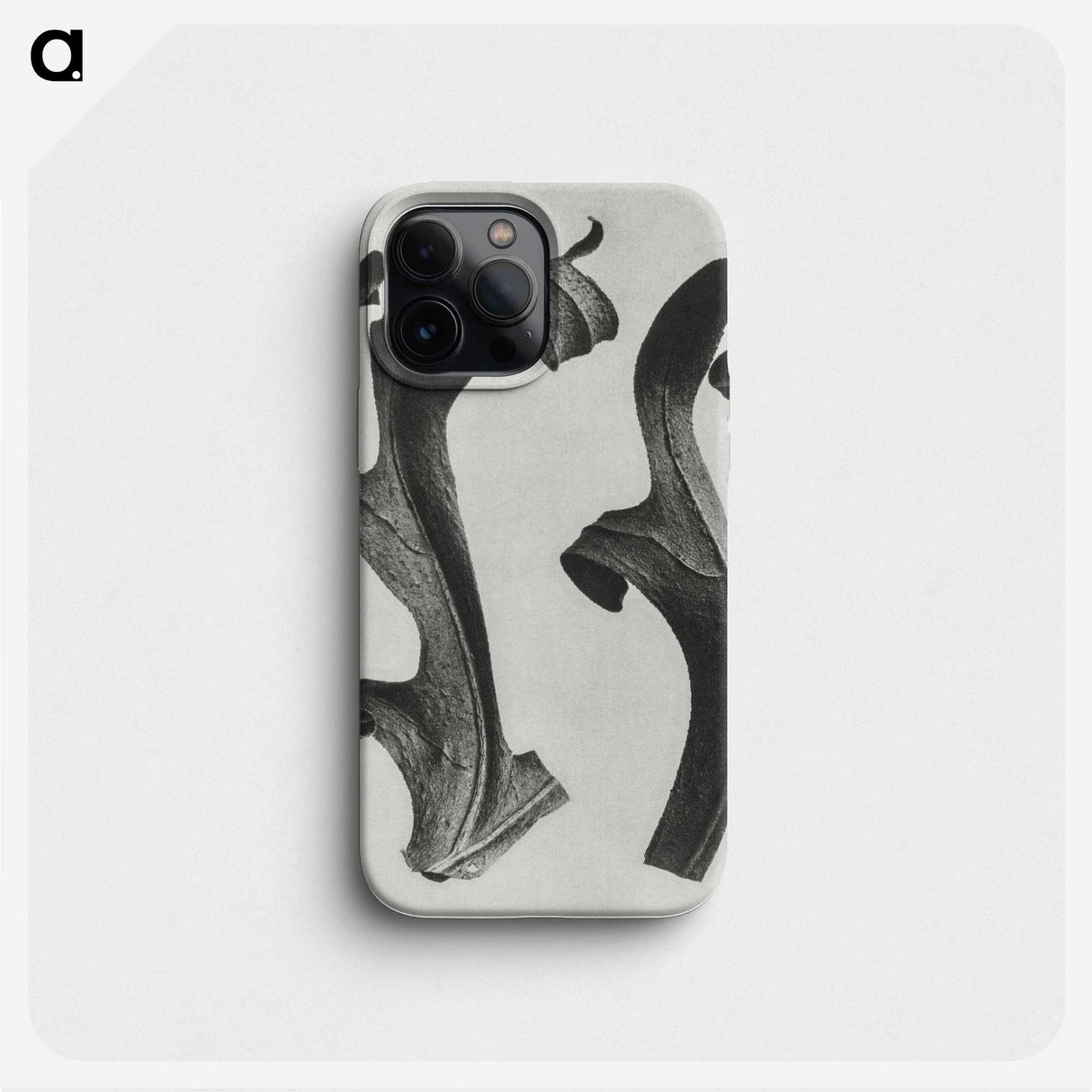 1-80_Karl-Blossfeldt_phone