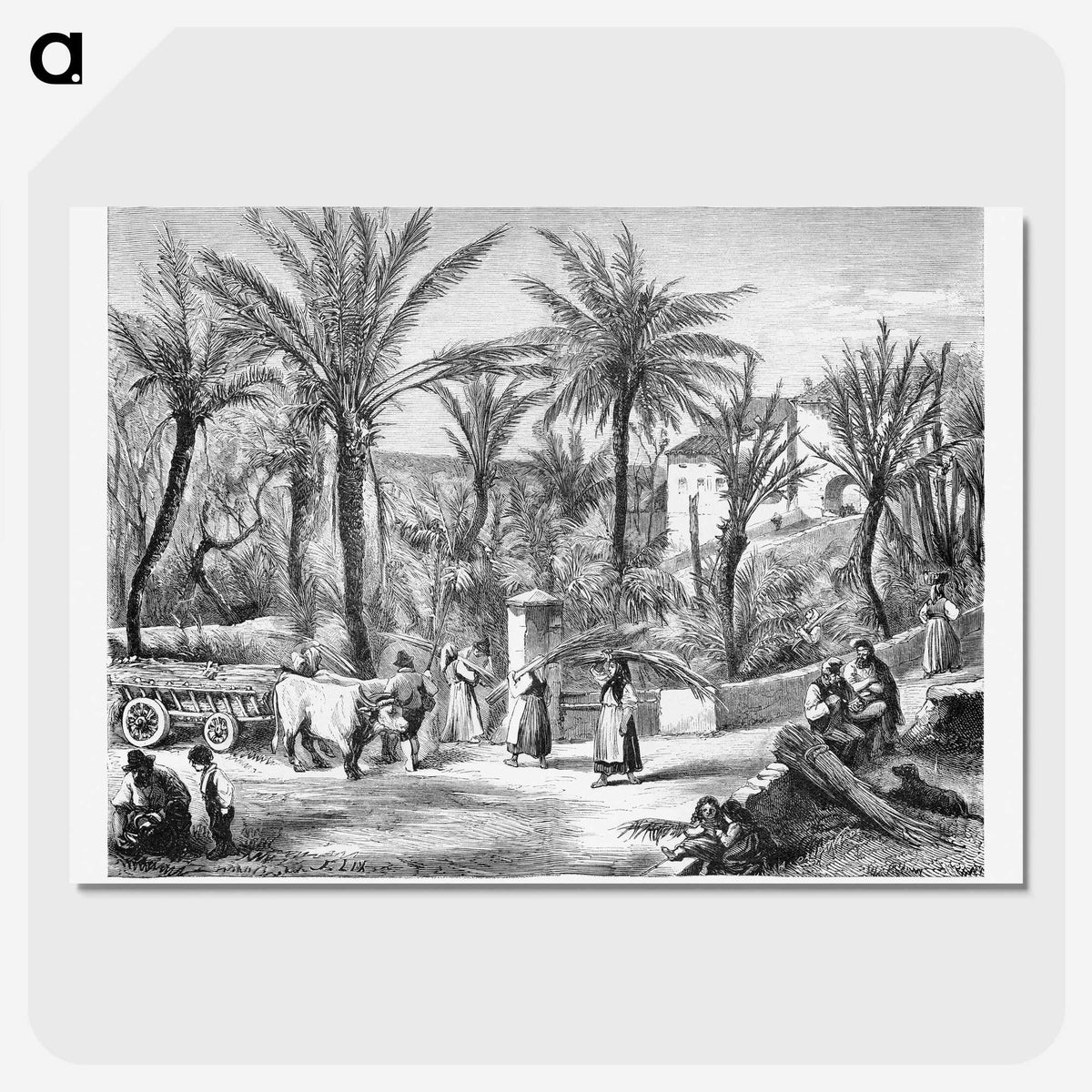 1-80_Les-Palmiers-Histoire-Iconographique_picture-crop