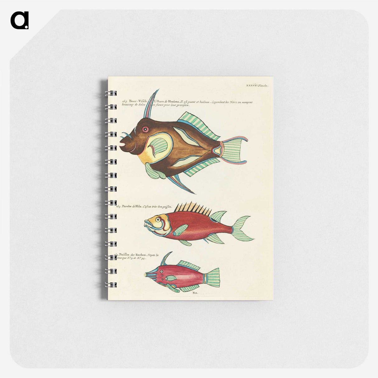 1-80_Louis-Renard_memo