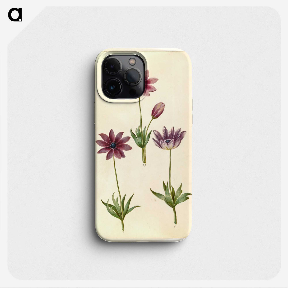 1-80_Maria-Sibylla-Merian_phone