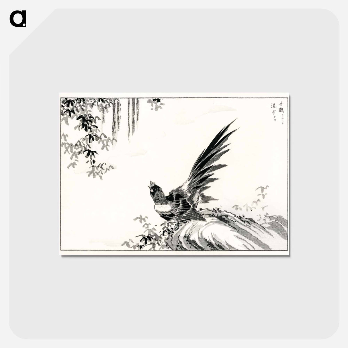 アートポストカード-Magpie and Waterfall
- 鳥類図鑑 Postcard.