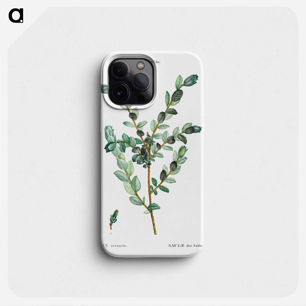 Creeping willow - ピエール ジョゼフ ルドゥーテ Phone Case.