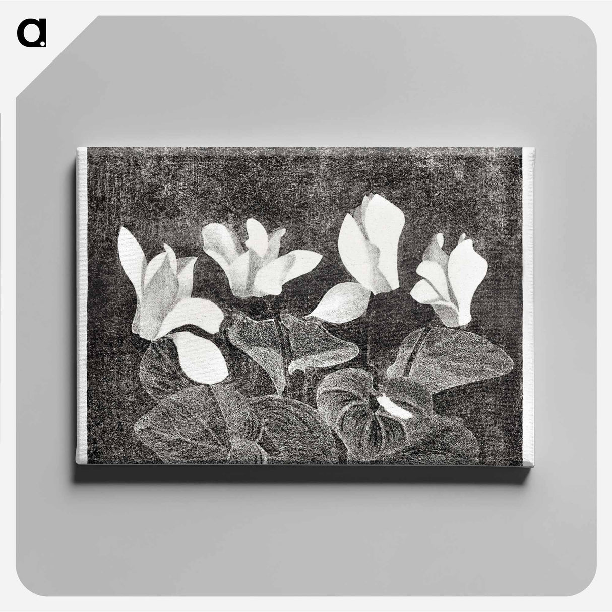 Cyclamen
- サミュエル ジェスルン Canvas.