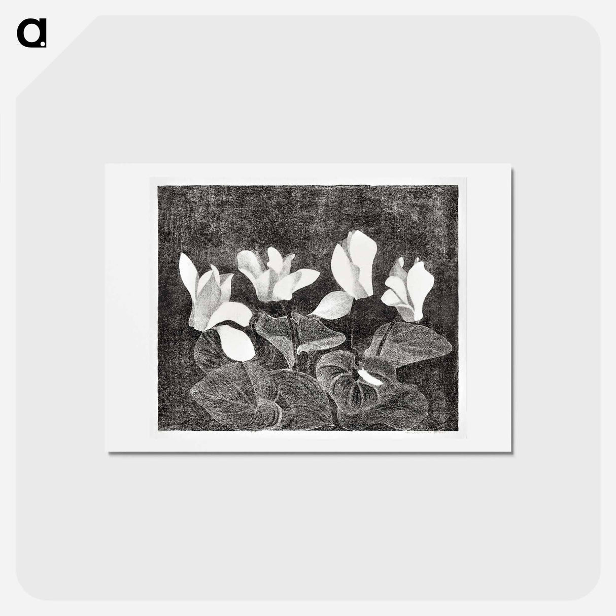 アートポストカード-Cyclamen
- サミュエル ジェスルン Postcard.