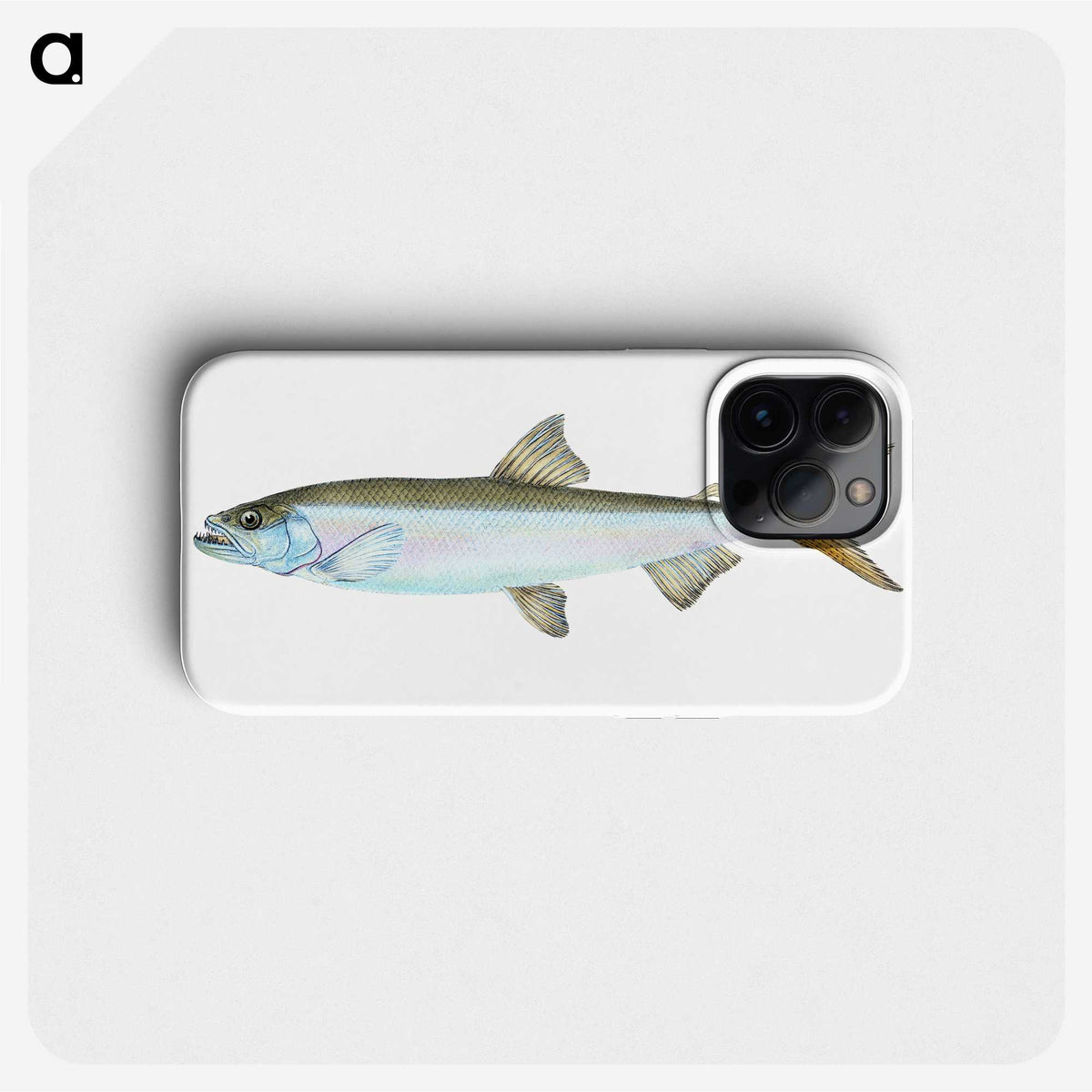 1-80_The-Natural-History-of-British-Fishes_phone