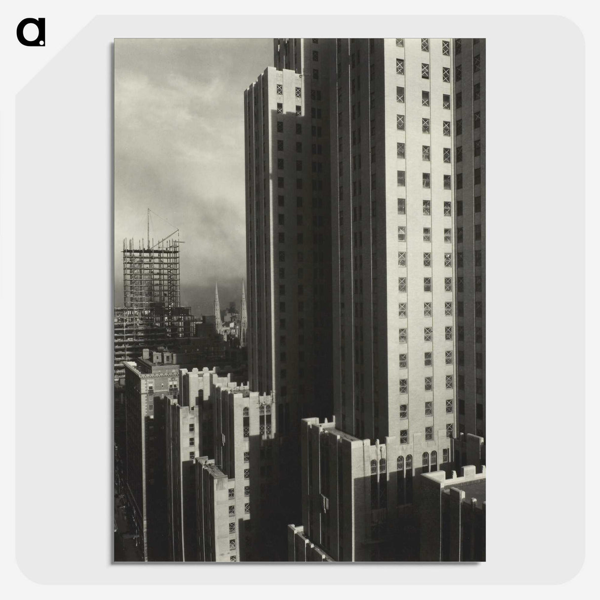 1-81_Alfred-Stieglitz_picture-crop