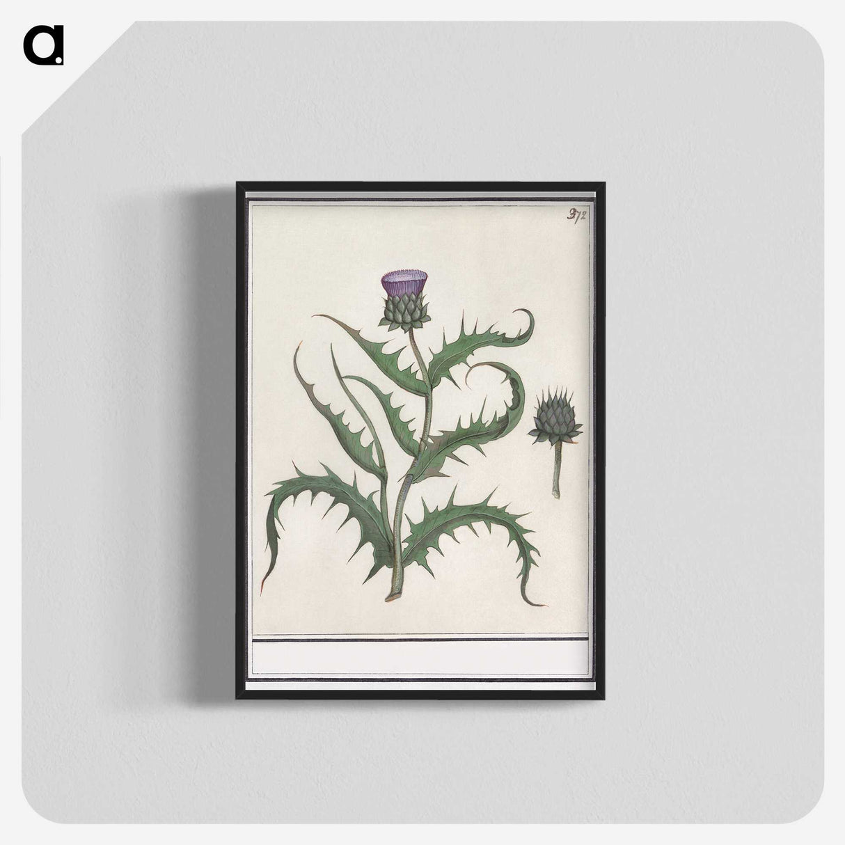 1-81_Anselmus-Boetius-de-Boodt_blk-crop