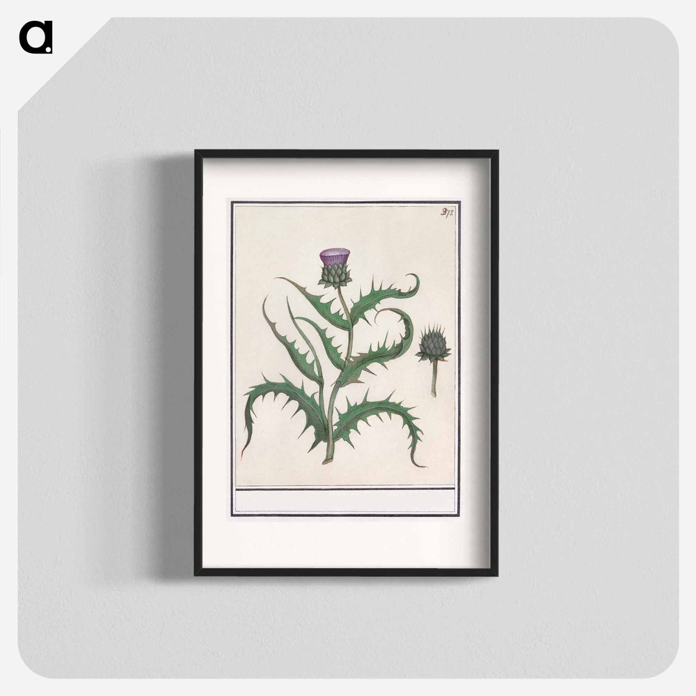 Artichoke - アンセルムス ボエティウス デ ブート Poster.