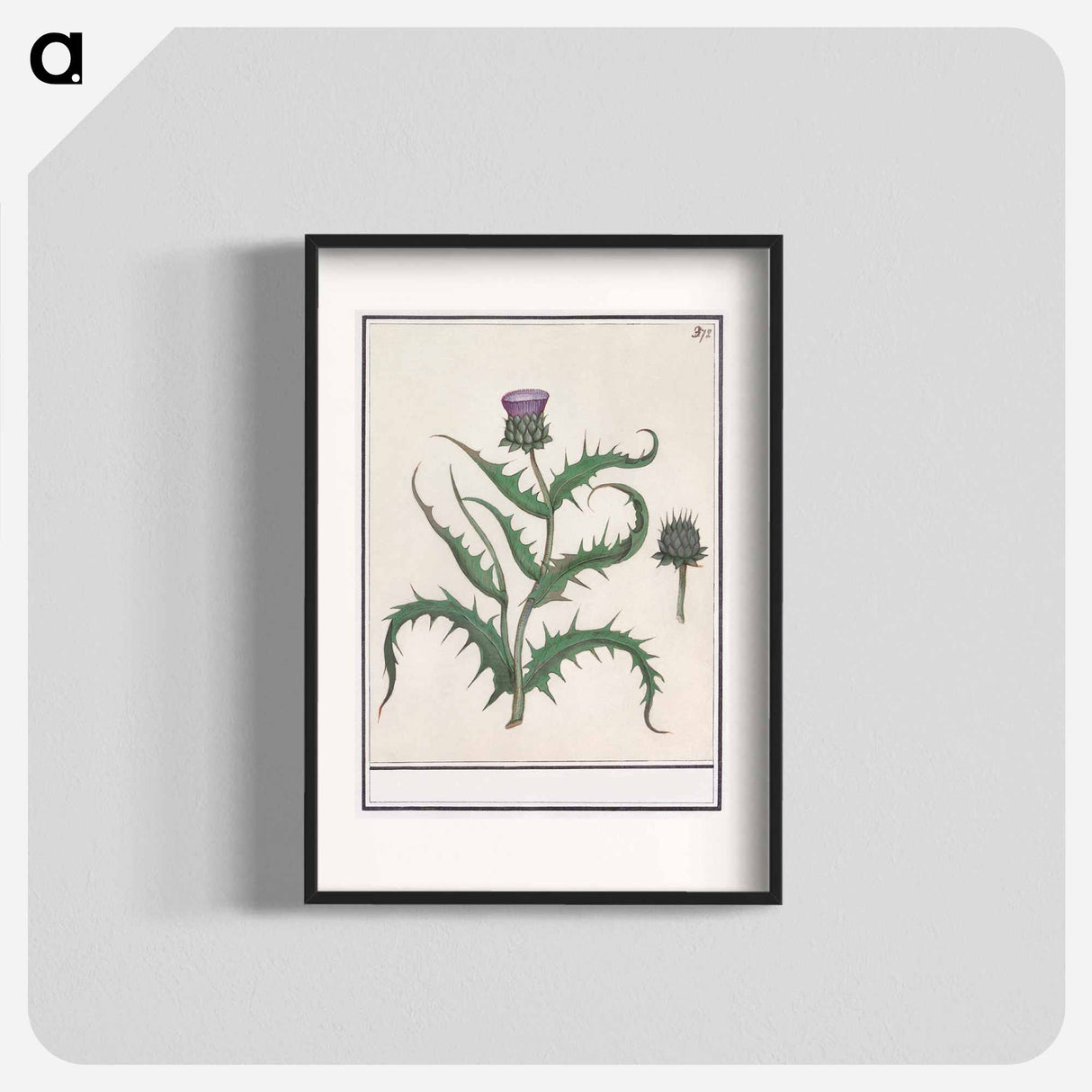 アートポスター-Artichoke - アンセルムス ボエティウス デ ブート Poster.