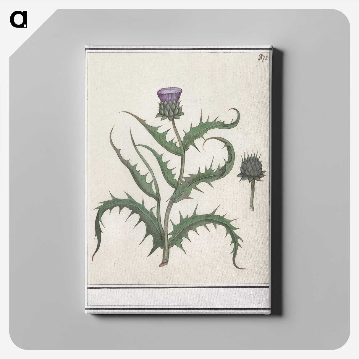 1-81_Anselmus-Boetius-de-Boodt_canvas
