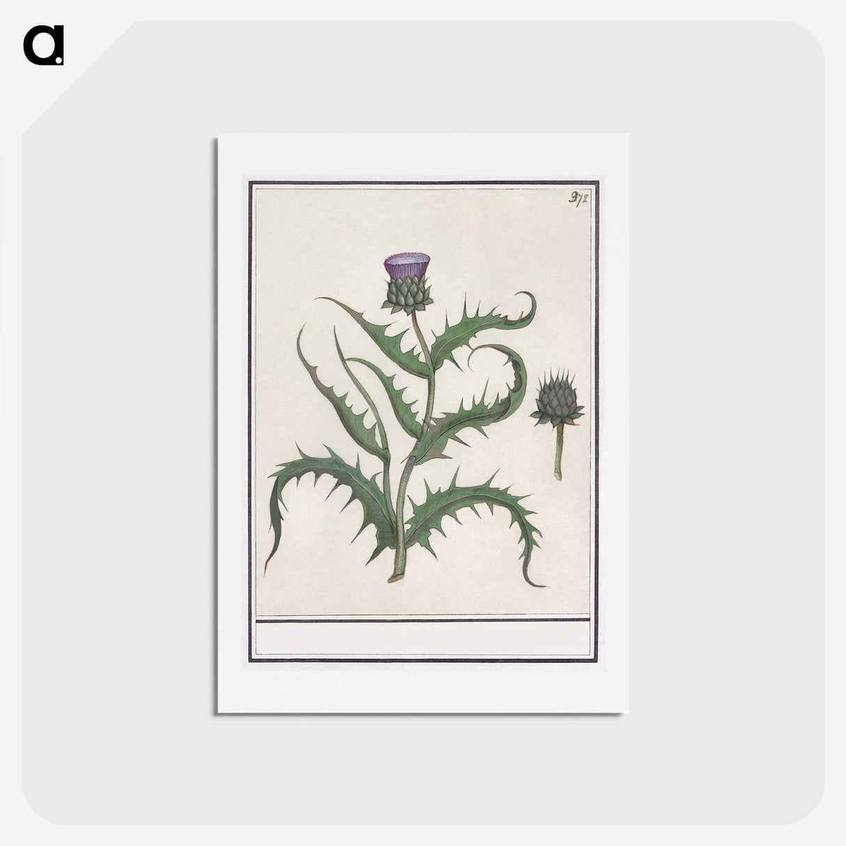1-81_Anselmus-Boetius-de-Boodt_hagaki