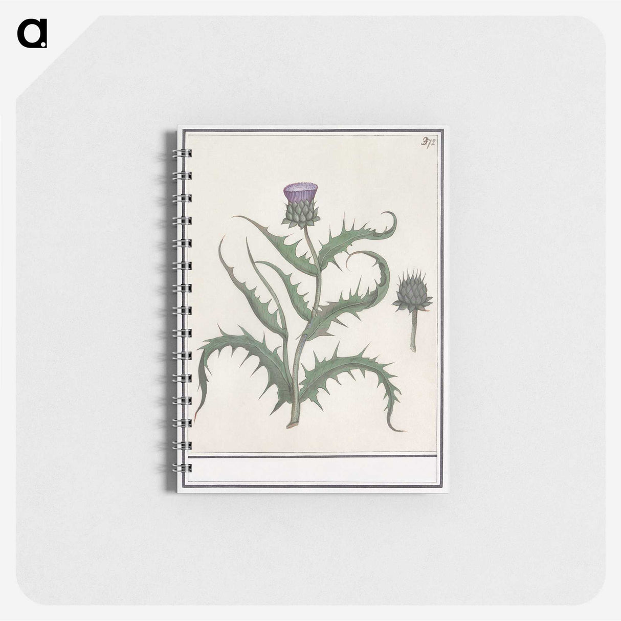1-81_Anselmus-Boetius-de-Boodt_memo
