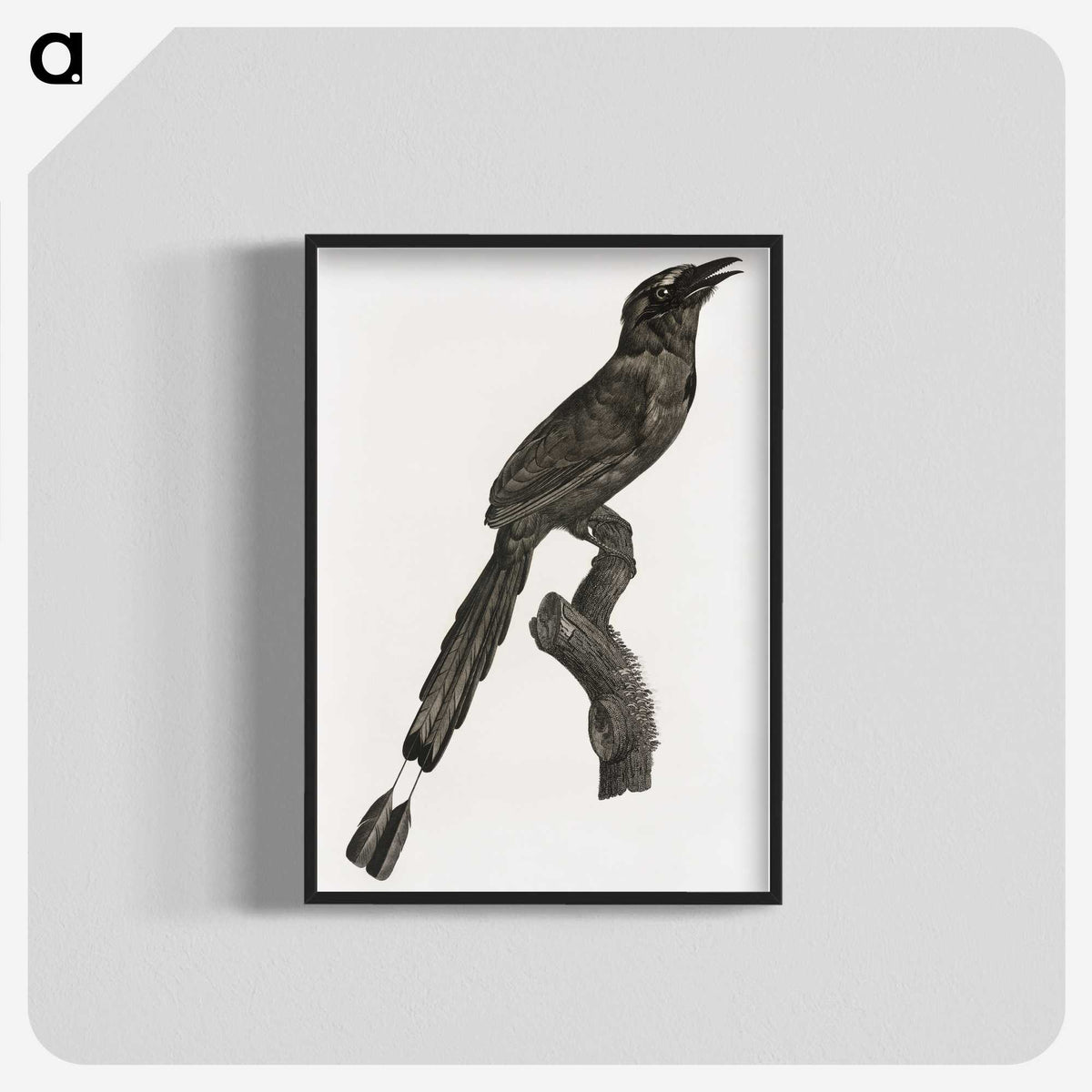1-81_Des-Oiseaux-de-Paradis_blk-crop