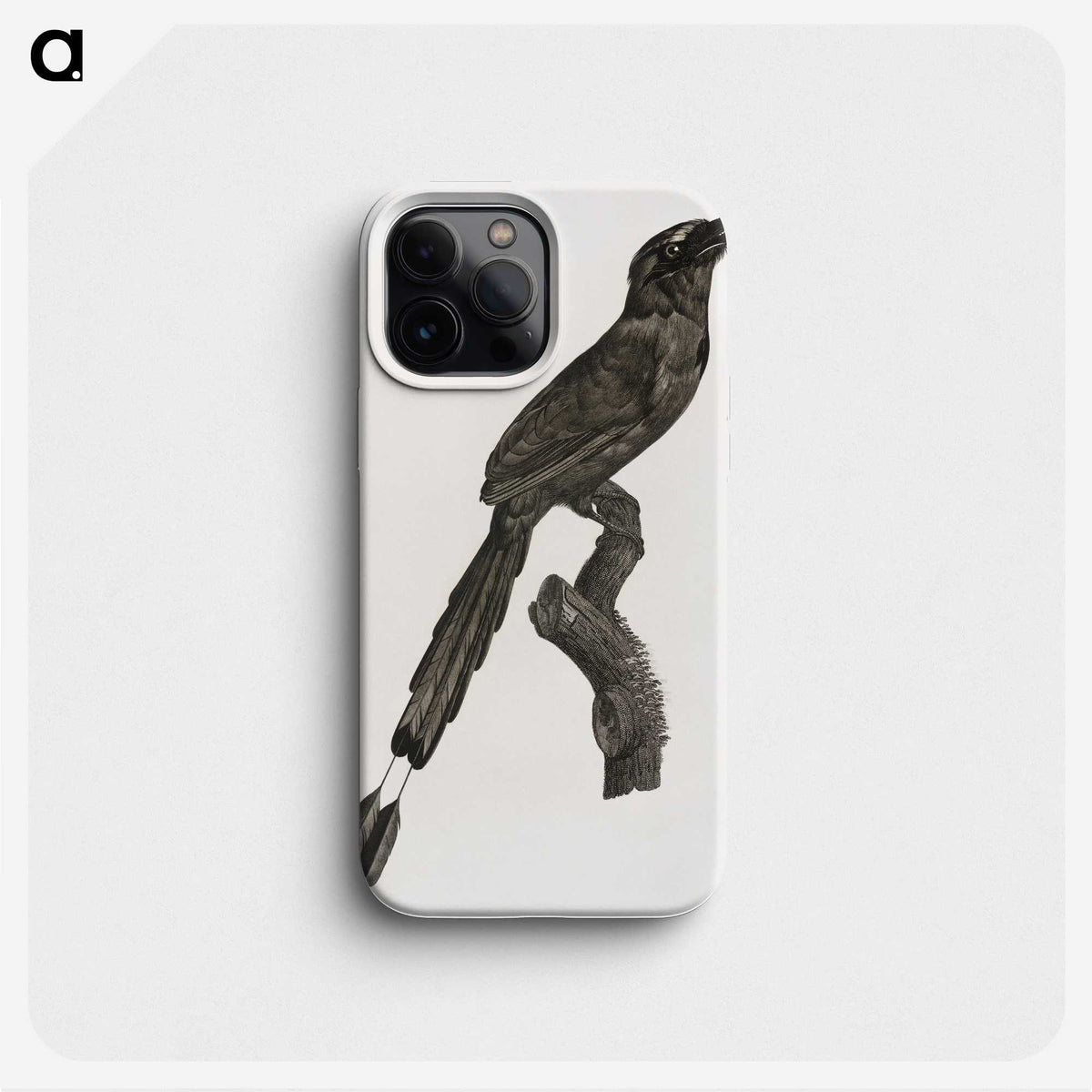 1-81_Des-Oiseaux-de-Paradis_phone