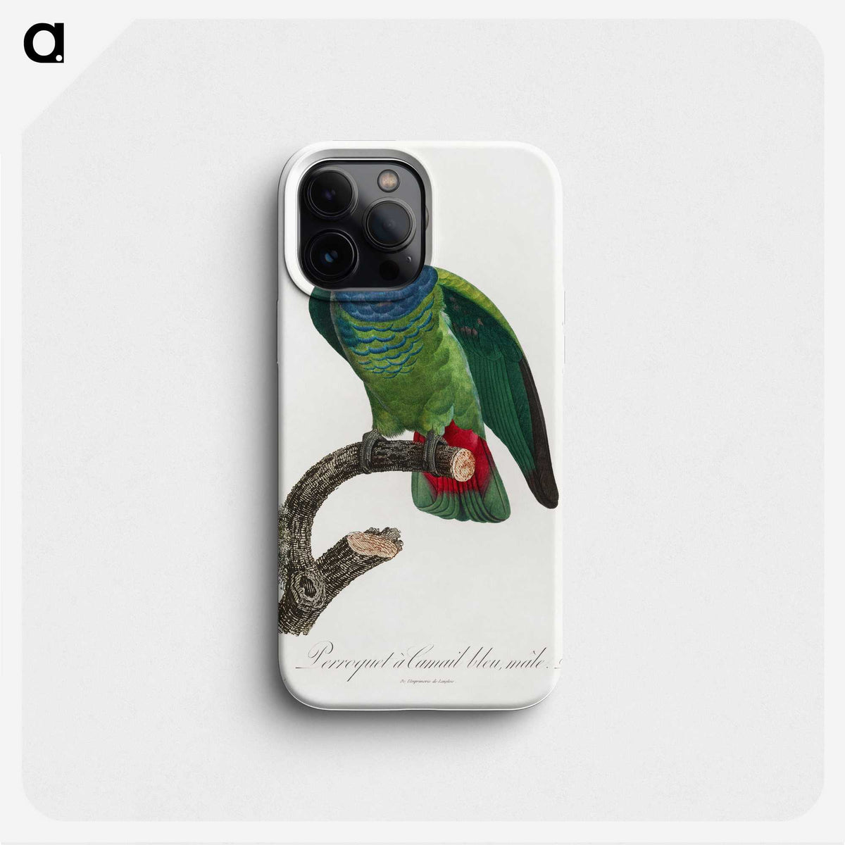 1-81_Francois-Levaillant_phone